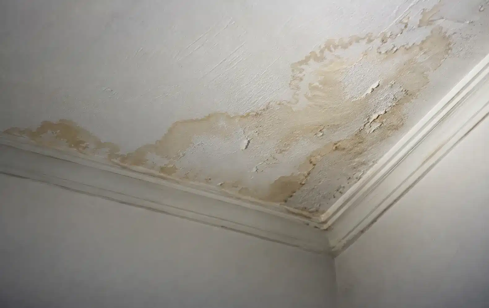 Macchie di umidità e pittura scrostata nell’angolo di un soffitto bianco.